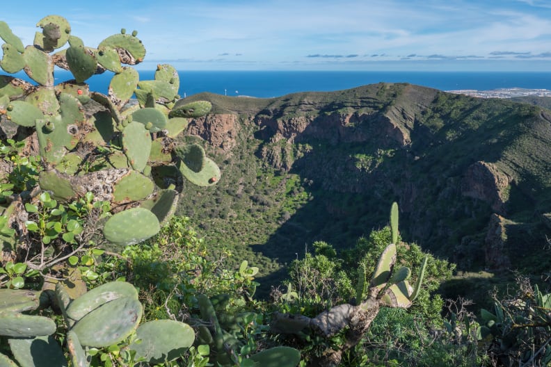 Bandama-Krater, Gran Canaria © shutterstock.com - Kristyna Henkeova