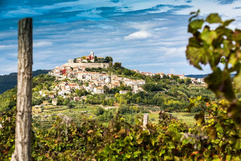 Trüffelwälder um Motovun, Istrien