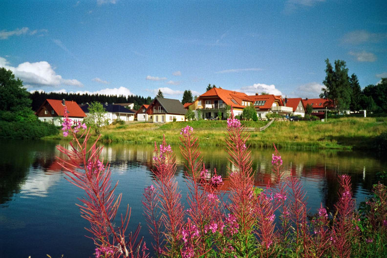 Teich, Clausthal-Zellerfeld, Deutschland