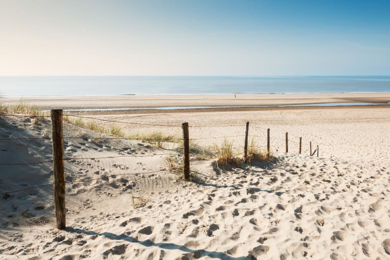 Sandy dunes on the sea coast