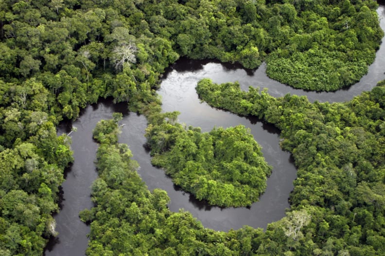Regenwald entlang des Rio Teles Pires im Amazonasgebiet, Südamerika