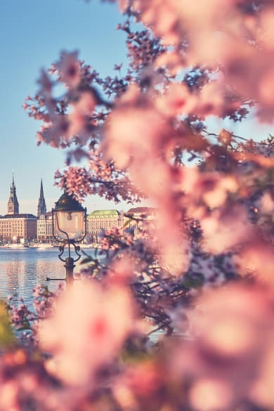 Die Binnenalster in Hamburg, Deutschland
