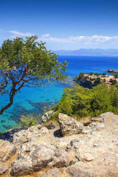 Blick auf einsamen Baum und Meer auf der Halbinsel Akamas, Zypern © iStock.com/alenkadr