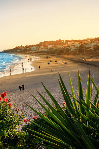 Ausblick auf Strand und Meer an der Costa Calma auf Fuerteventura