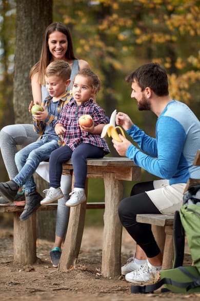 Familienpicknick im Wald © luckybusiness - stock.adobe.com