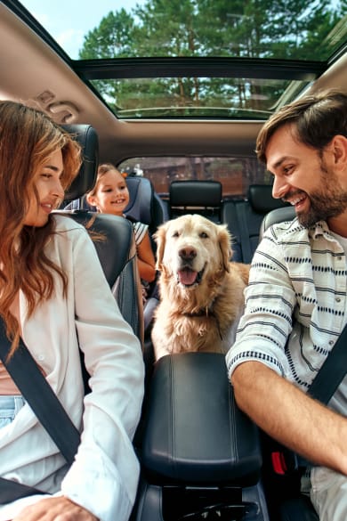 Familie mit Hund im Auto © Valerii Apetroaiei/iStock / Getty Images Plus via Getty Images