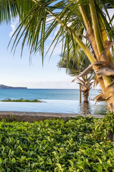 Frau in einem Pool auf Mauritius © Andrea Comi/Moment via Getty Images