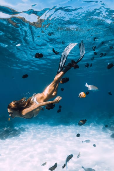 Freediver Dame mit Flossen gleitet unter Wasser mit Fischen © iStock.com/Nuture