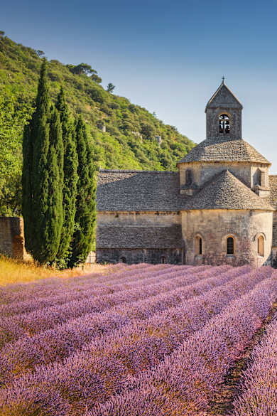 Lavendelfeld im Sommer in Provence, Frankreich © Mlenny via Getty Images