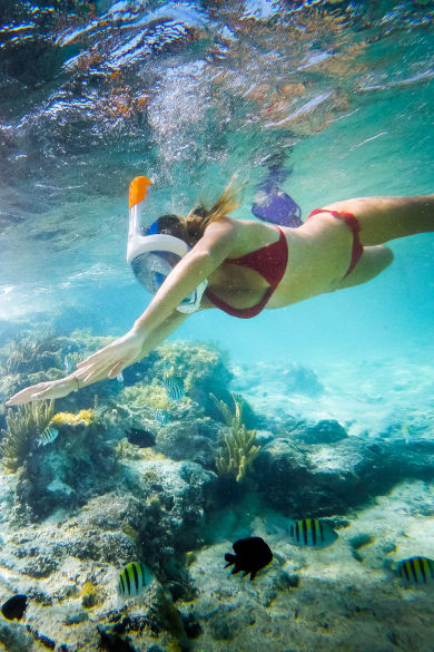 Mädchen schnorchelt in einer wunderschönen Lagune © iStock.com/Erwin Barbe