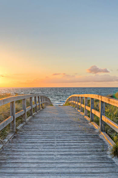 Ein langer Holzweg der Richtung Meer führt. Die Sonne geht unter und die Vögel fliegen über das Meer © Marco2811 - stock.adobe.com