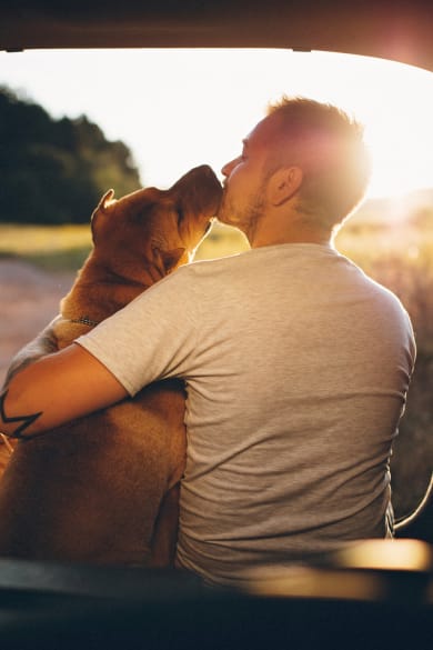 Reisen mit Hund ©PhotoAttractive/E+ via Getty Images