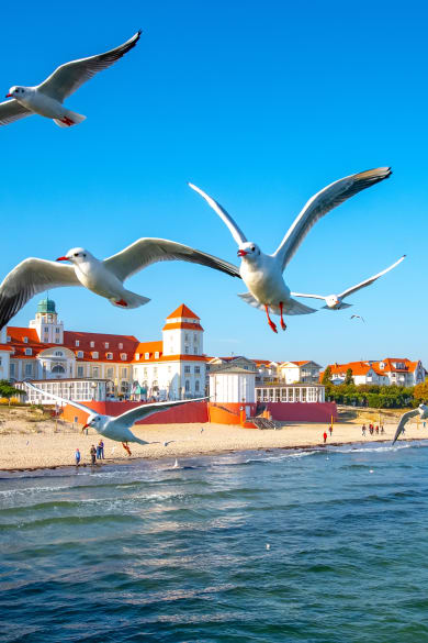 Strandpromenade von Binz, Rügen © Comofoto - stock.adobe.com