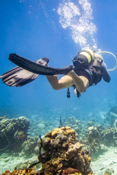 Taucher bei der Erkundung eines überwucherten Schiffswracks in Playa Larga, Kuba © iStock.com/Eloi_Omella