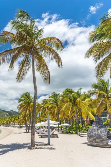Tropisches Meer, Karibik ©Roberto Moiola / Sysaworld/Moment via Getty Images