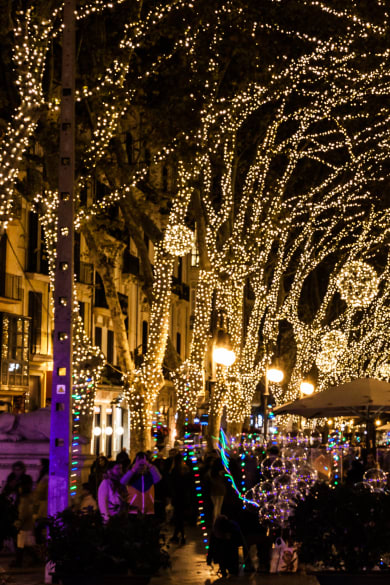 Weihnachtsbeleuchtung am Passeig del Born, Mallorca © iStock.com/Jeanne Emmel