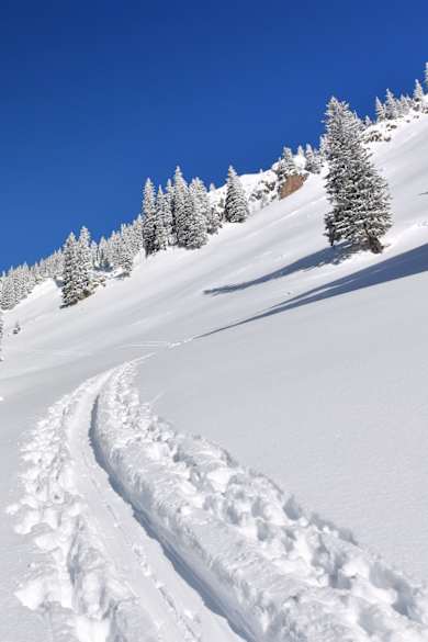 Schneelandschaft mit Bäumen und Wanderpfad im Allgäu