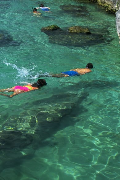 Xel Ha Lagoon in Quintana Roo ©Dave G. Houser/Corbis Documentary via Getty Images