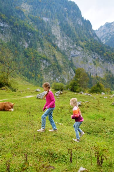 Zwei Schwestern auf Wanderwegen rund um den malerischen Königssee mit Kühen © iStock.com/MNStudio