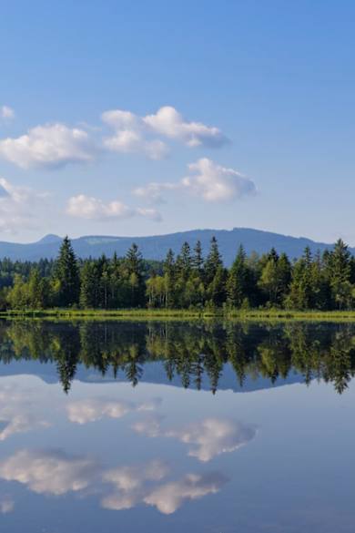 Blick auf den Kirchsee mit einem Wald im Hintergrund, Bayern, Deutschland.