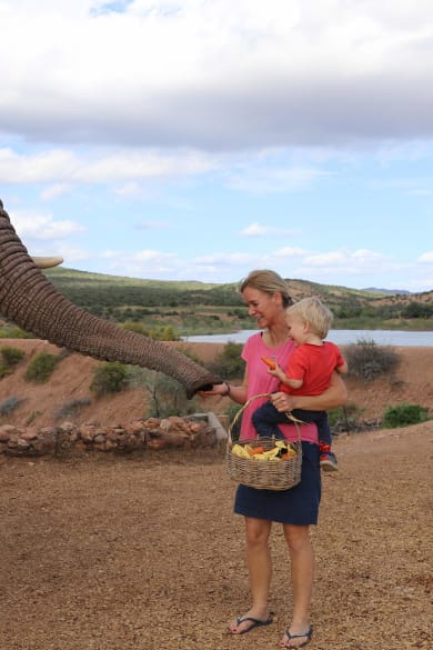 Eine Frau füttert mit ihrem Kind auf dem Arm einen Elefanten in Südafrika.