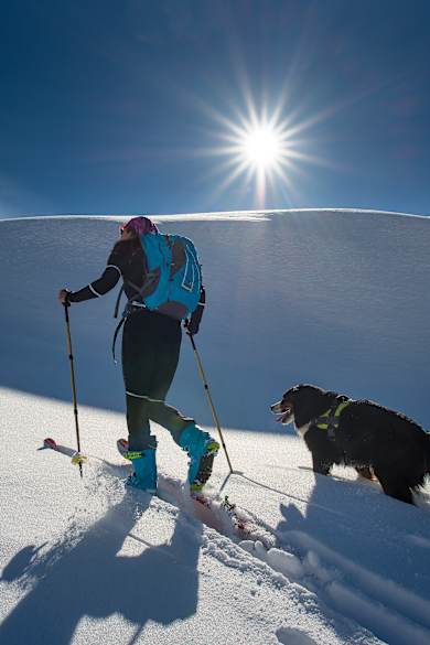 Ein Hund läuft neben einem Mann auf Skiern.