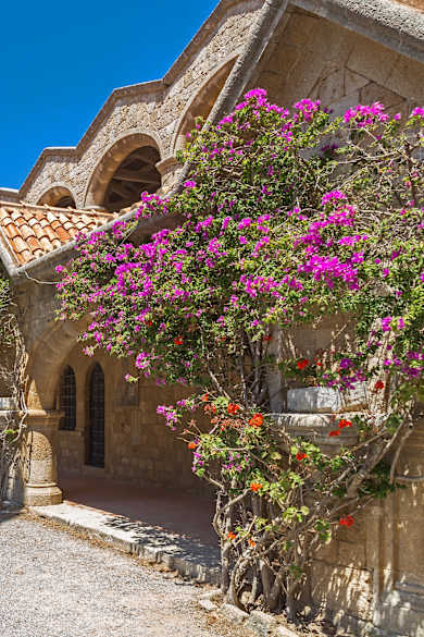 Ein historisches Gebäude bewachsen mit lila Blumen