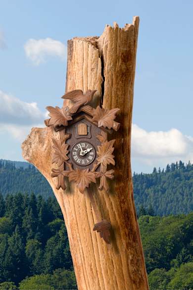 Eine Kuckucksuhr im Schwarzwald © C. Schüßler – stock.adobe.com