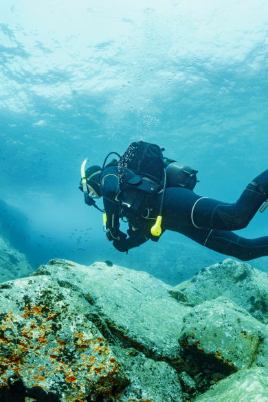 männlicher Taucher genießt blaues flaches Wasser © iStock.com/ultramarinfoto