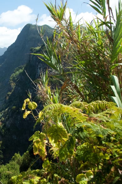 Santana, Madeira, Nordostküste © Adobetsock/Rulan