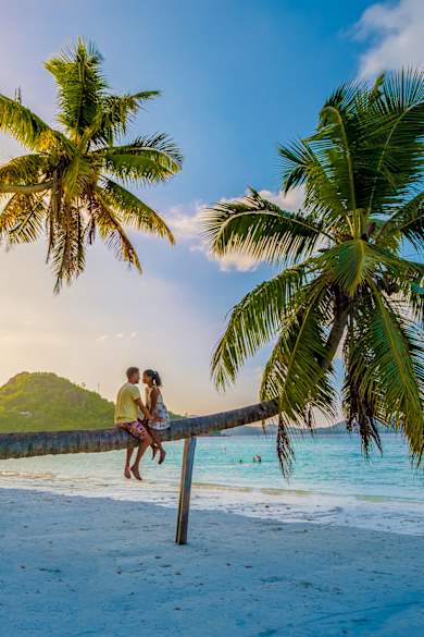 Zwei Personen sitzen auf einer Palme am Strand Anse Volbert auf Praslin, Seychellen