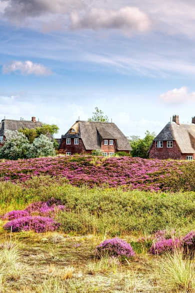 Reetdachhäuser prägen den Charme der Insel Sylt. © K I Photography/Shutterstock.com