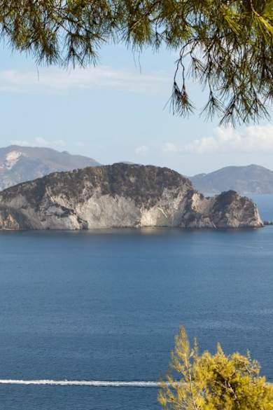 Marathonisi liegt wenige Kilometer vor der Küste von Zakynthos. © iStock via Getty/MDoubrava