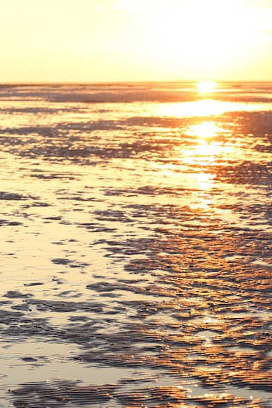 Wenn die Sonne über dem Wattenmeer auf- oder untergeht, haben nicht nur die vorbeiziehenden Vögel zu staunen. © iStock via Getty/claffra