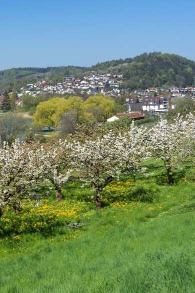 Die Marienschlucht befindet sich bei Bodman-Ludwigshafen am Bodensee. © iStock via Getty/RobertSchneider