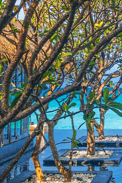 Das Reethi Rah hat mit seinem entschleunigten Luxus schon viele Stars angezogen. © istock/David Robinson