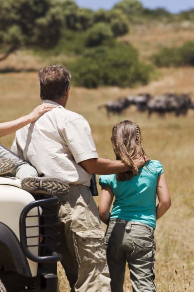 Vater beobachtet Tiere mit seinen Töchtern bei einer Safari.