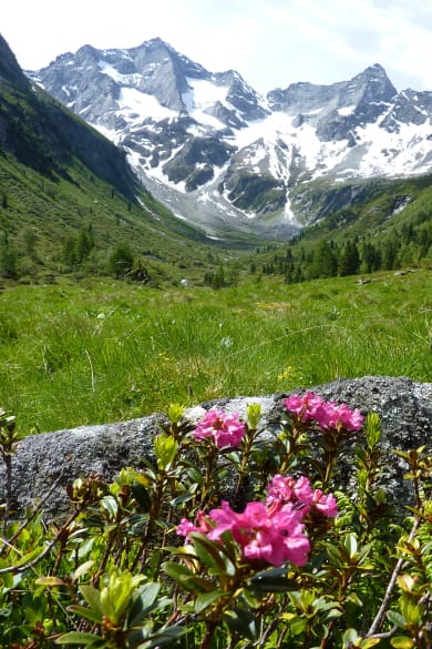 Bergblick Suedtirol, Italien.