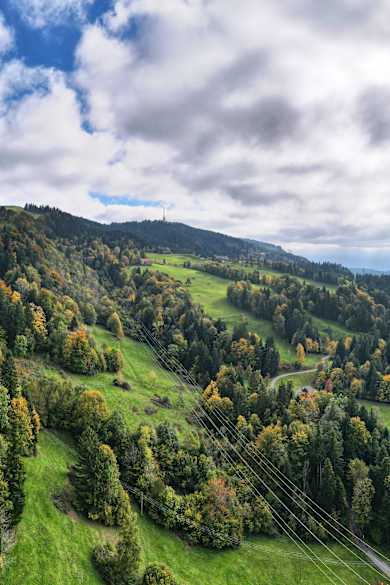 Blick auf den Bodensee.