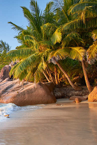 Anse Lazio, Seychellen, Afrika © stock.adobe.com - Michael Stumpf