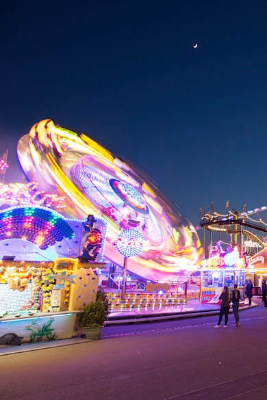 Die Cannstatter Wasen