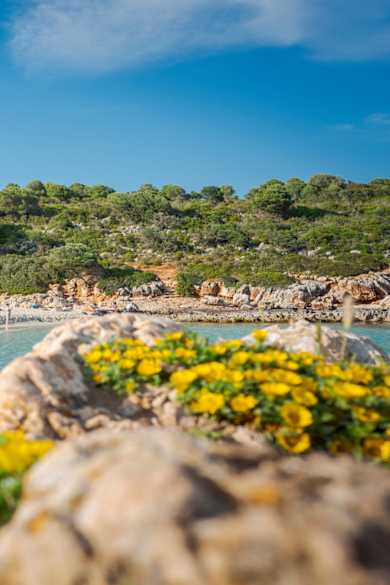 Der Strand von Cala Varques, Mallorca, Spanien © Dietmar Denger