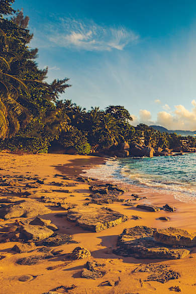 Ein Strand umgeben von Palmen mit Bergen im Hintergrund