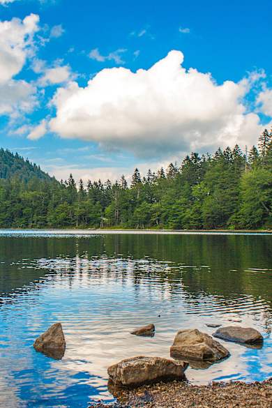Feldsee, Feldberg (Schwarzwald), Baden Württemberg