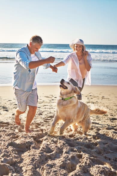 Pärchen mit Hund am Strand