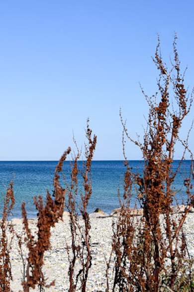 Strand Westermarkelsdorf auf Norderney, Ostsee, Deutschland ©HolidayCheck