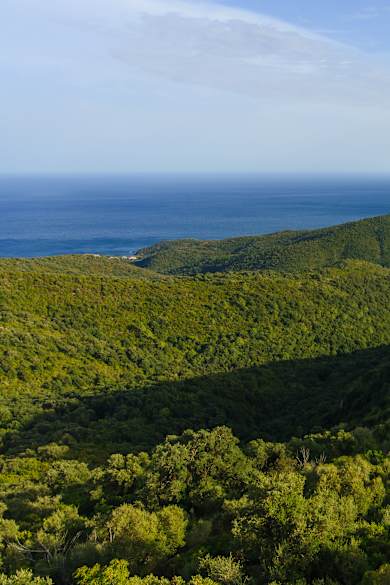 Sari-Solenzara, Korsika