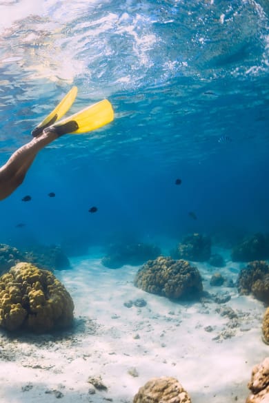 Eine Frau beim Schnorcheln
