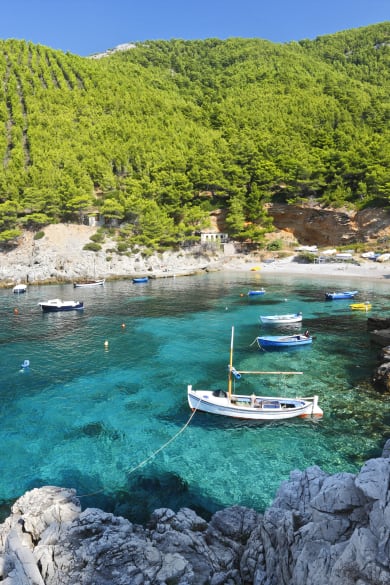 Mljet bay