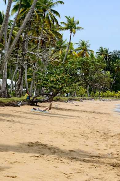 Playa Bonita, Dominikanische Republik ©HolidayCheck